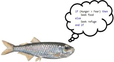 Fisk som føler sult eller frykt