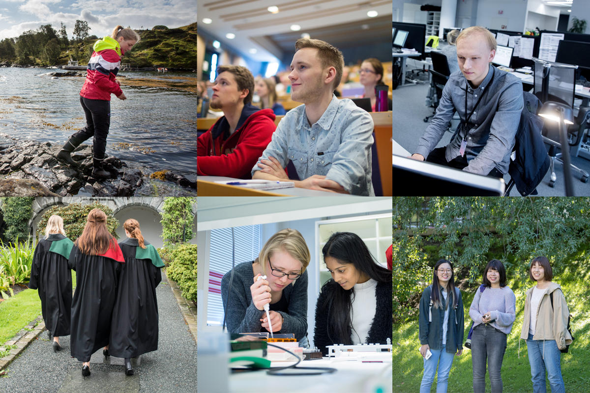 Collage showing students at UiB
