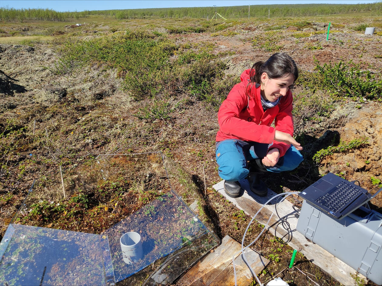 Inge Althuizen measuring carbon fluxes in northern Norway 