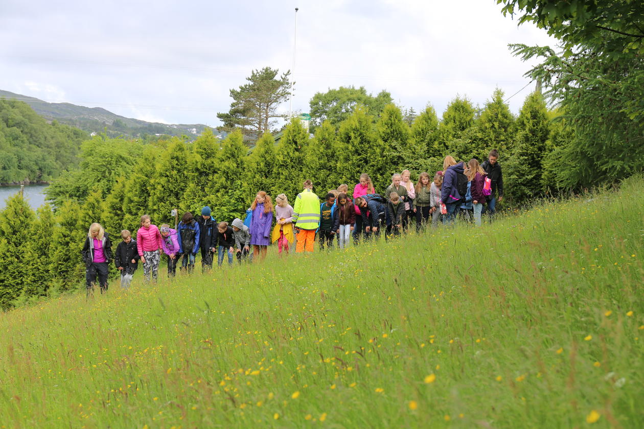 Kolltveit skole klass 5 på besøk