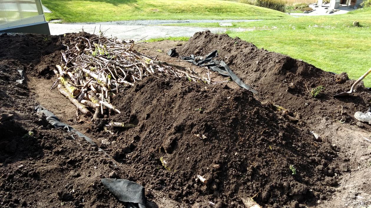 Oppbyggning av bakkekultur