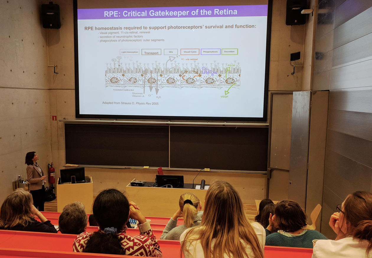 lecture in a classroom, showing a slide.