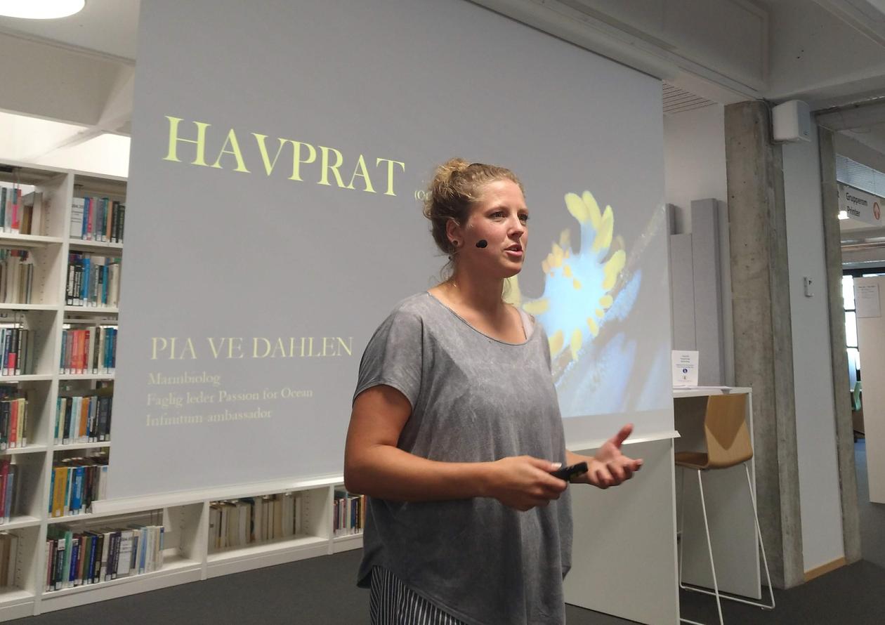 presentation by Pia Ve Dahlen