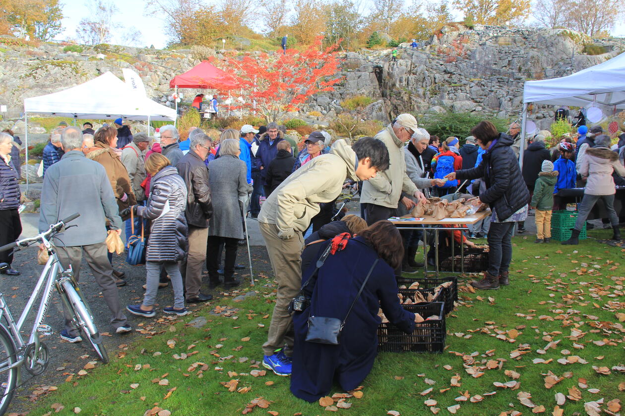 Mange boder på hagefest