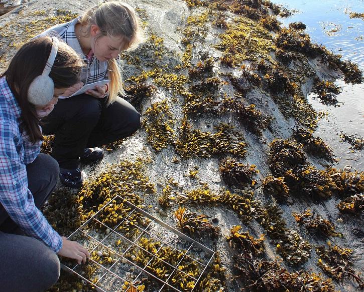 Marine Biology | University of Bergen