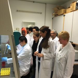 Experimental Pathology Research Group