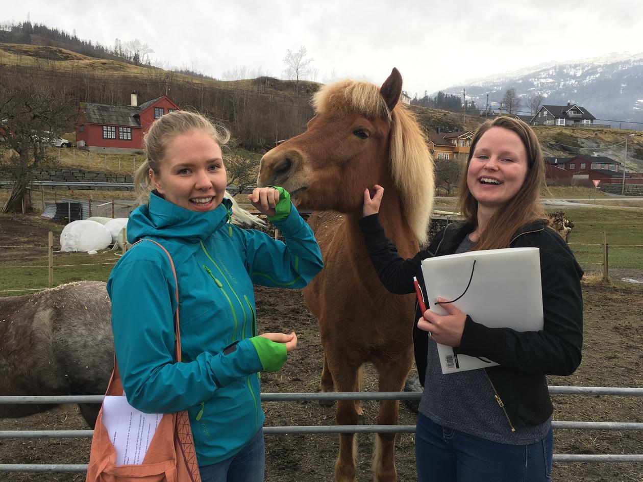 To studenter og en hest