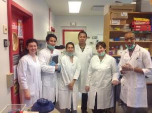 Experimental Pathology Research Group