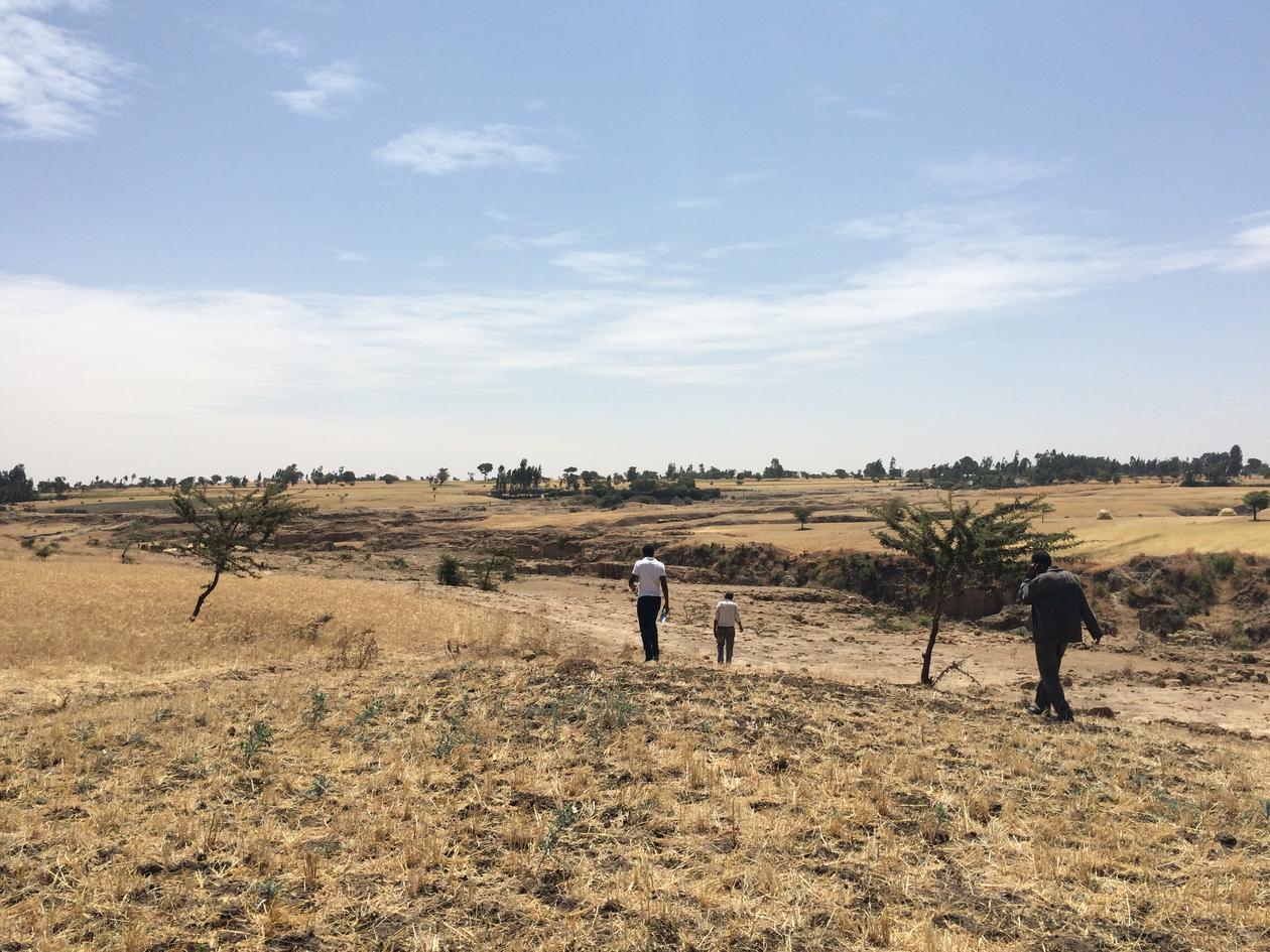 Gates project in Ethiopia