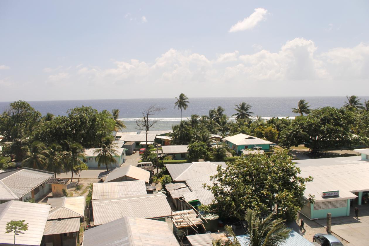 House roofs and trees next to a beach