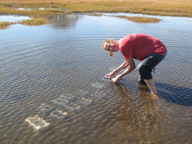 Scientist in the field