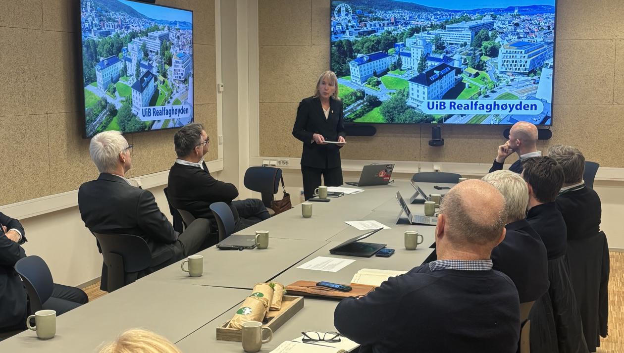 Toppledersamling Realfaghøyden