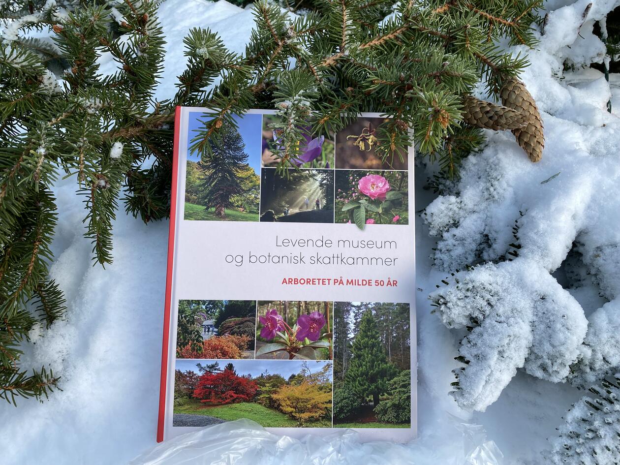 Arboretboken i vinterlandskap