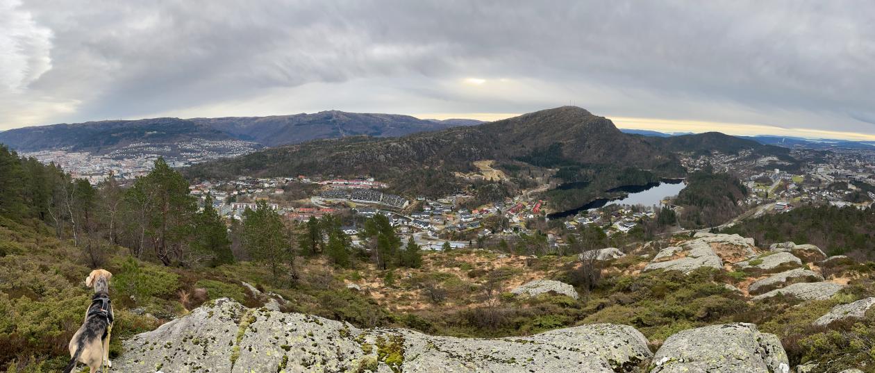 Kvartærgeologi og geomorfologi i Krohnegården friluftsområde, Bergen kommune: ny kartlegging med georadar og eksponeringsdatering