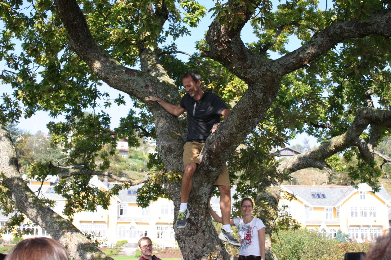 Tree hugger