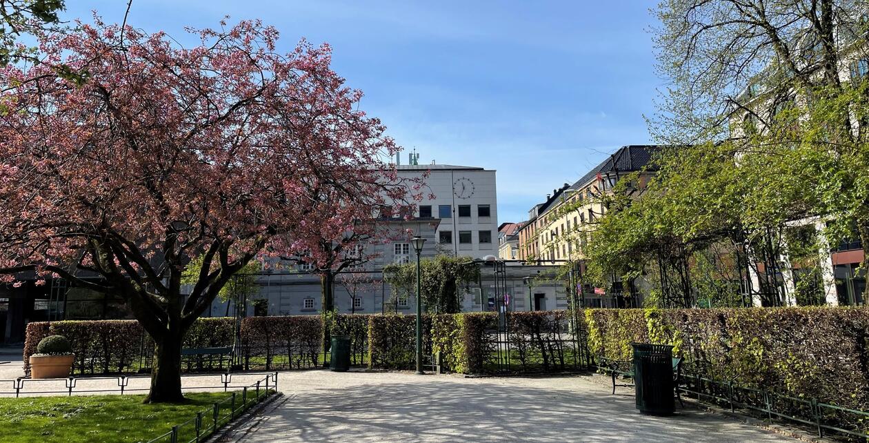 Bilde av Bjørn Christiansens hus sett fra byparken