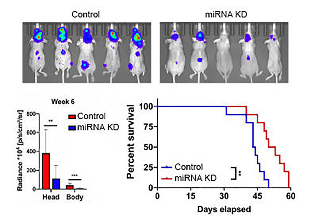 Research_Exosomes_results