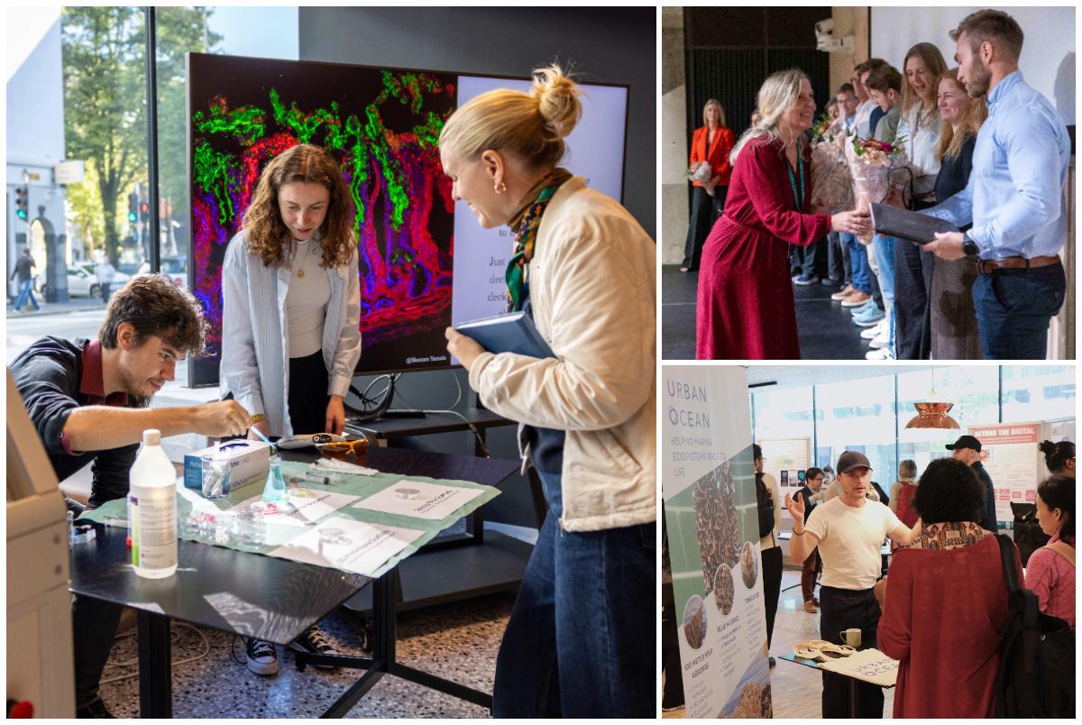 Bilder fra innovasjonsdagen som ble avholdt i september 2024.