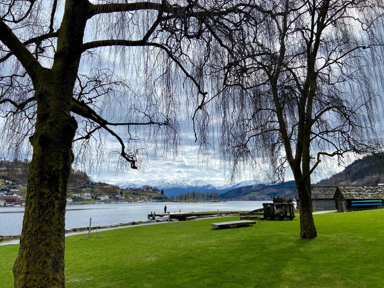 Bilde av utsikt over Hardangergjorden fra hotell i Norheimsund.
