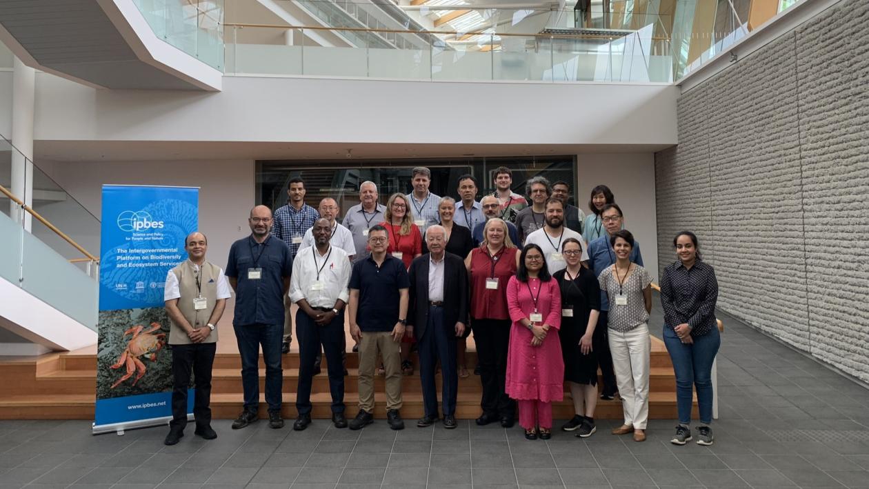 workshop participants