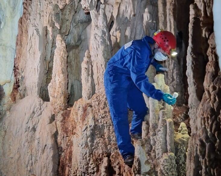Jenny Macalli, scientist at SapienCE Collecting data loggers inside Bloukrantz cave, February 2023 