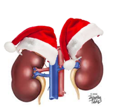 Binyrer med nisselue