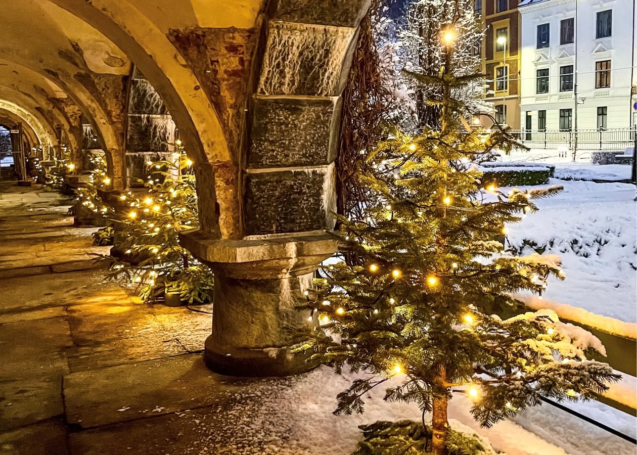 Juletre utenfor Universitetsmuseet