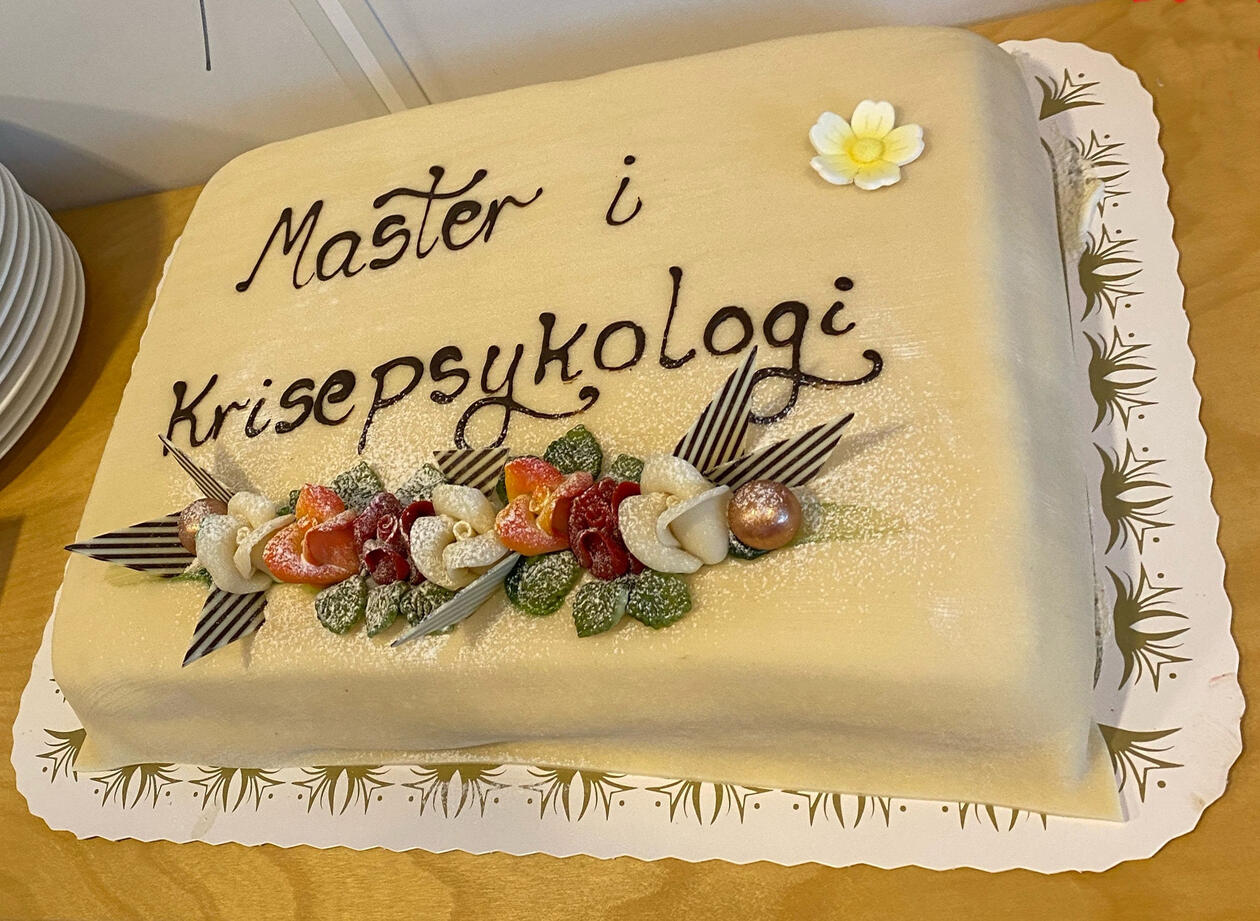 Bilde av kake til feiringen