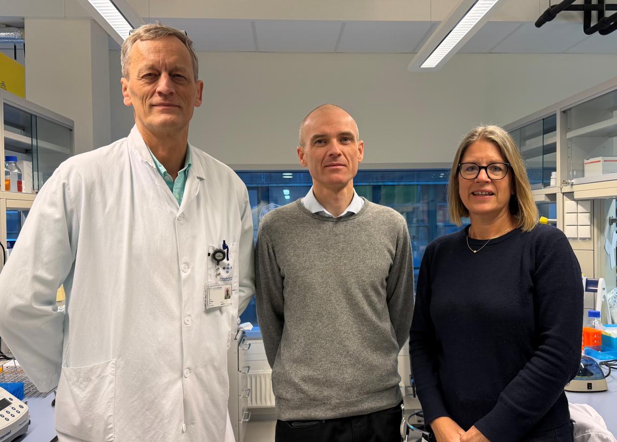 bilde av forskere på nytt kg jebsen senter