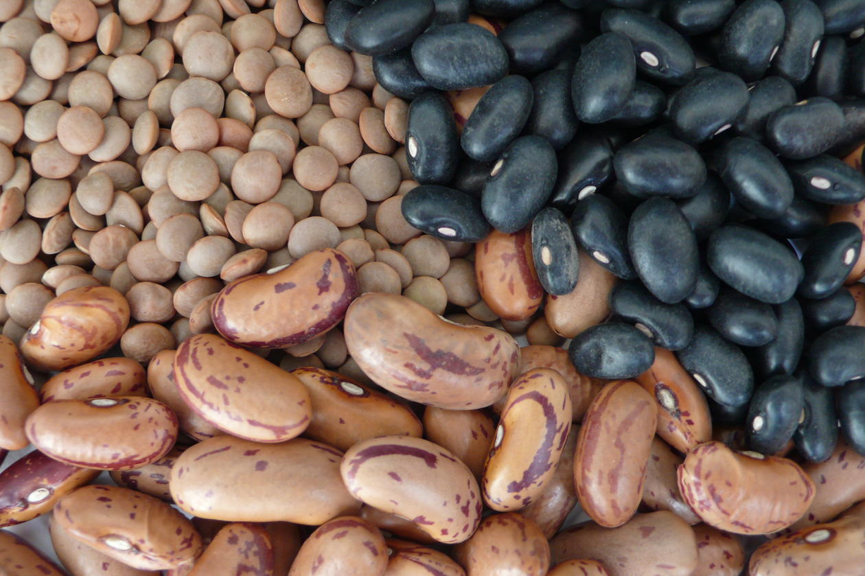 Bønner og linser Bønner og linser