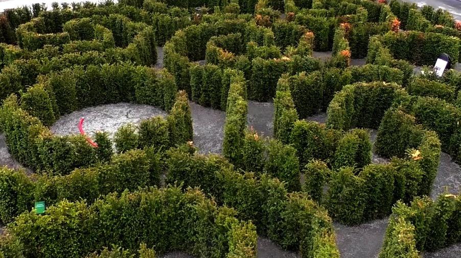 Labyrinten i botaniske hagen ved Milde 