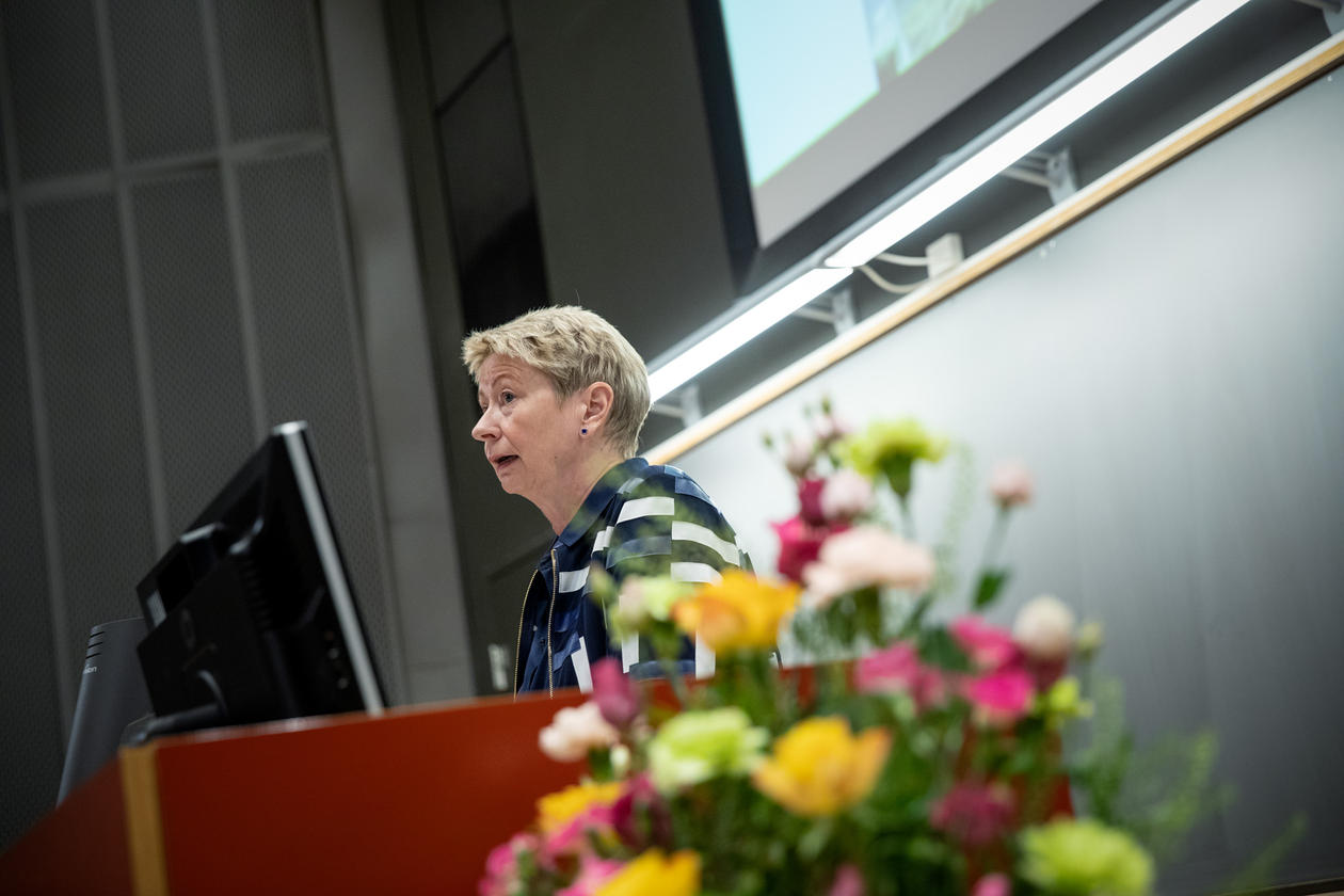 Norwegian diplomat Marianne Loe from the Norwegian Mission to the UN during her opening keynote at the 2019 Bergen Summer Research School on Monday 17 June.
