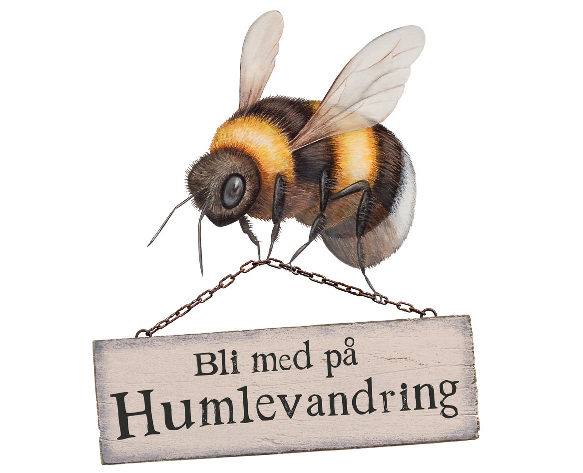 humlevandring