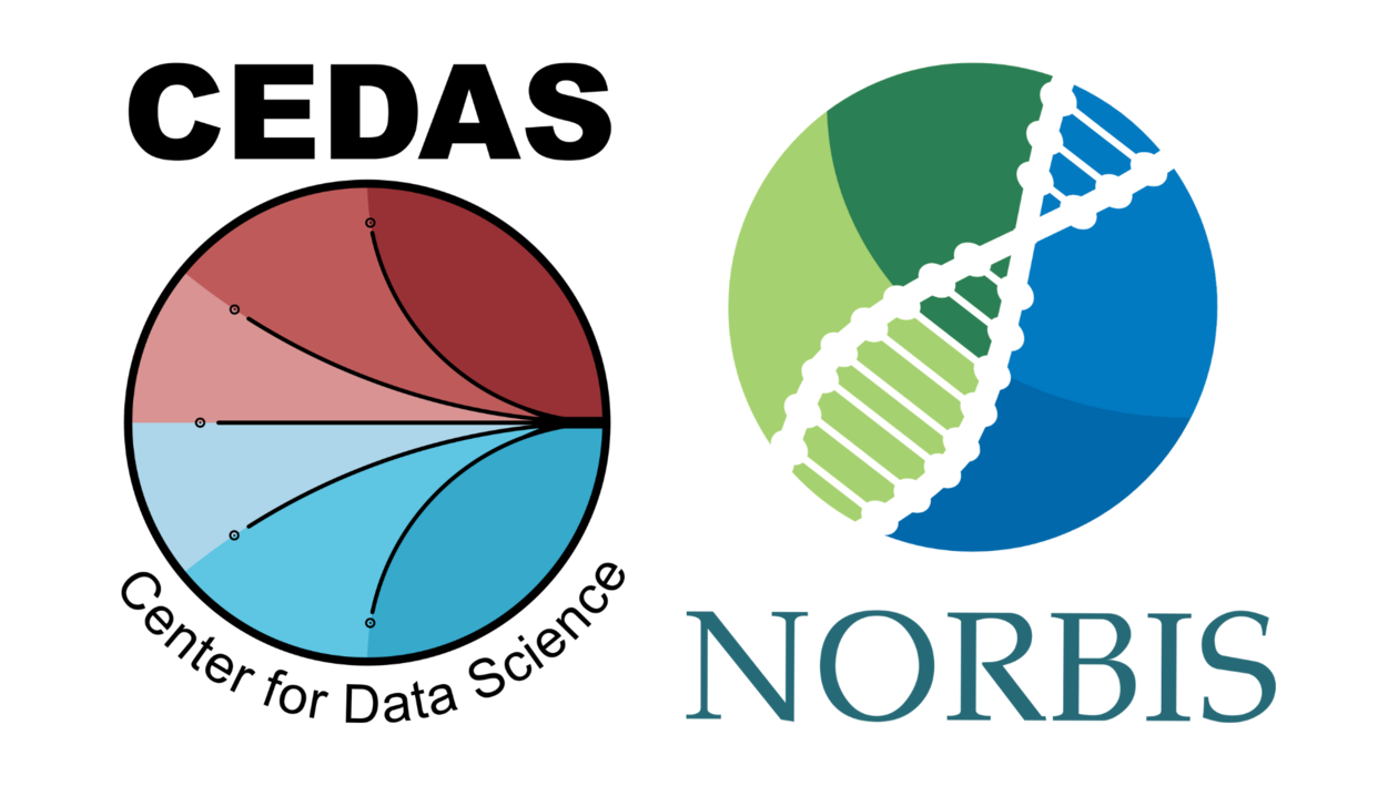 CEDAS / NORBIS logo