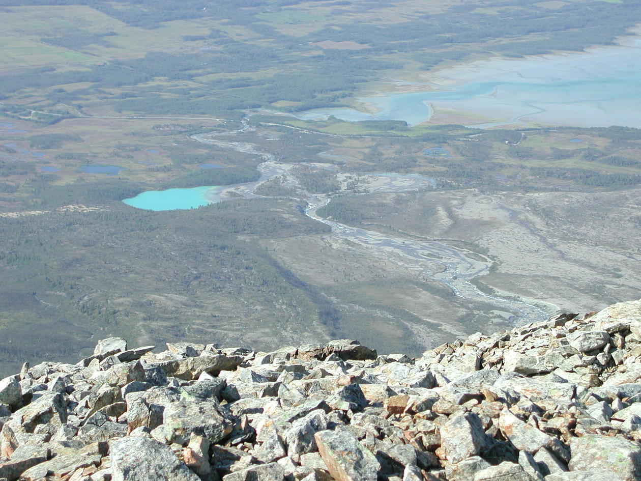 Lyngen