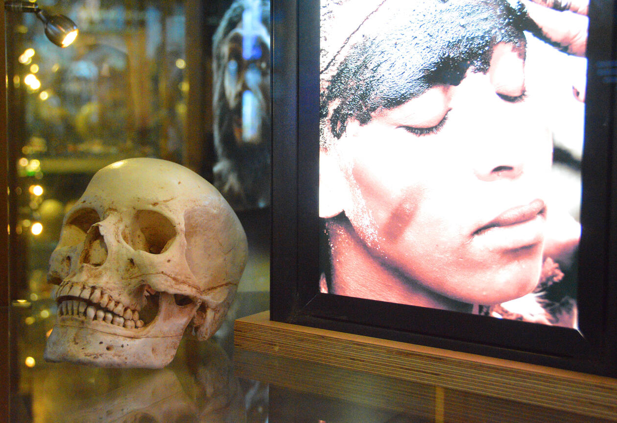 Image from the de hoop exhibition showing insights into the lifestyles and behaviours of early humans. 