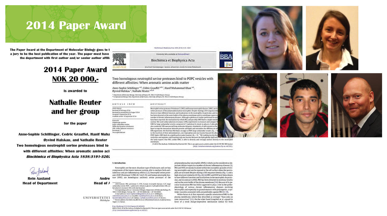 MBI Paper Award 2014