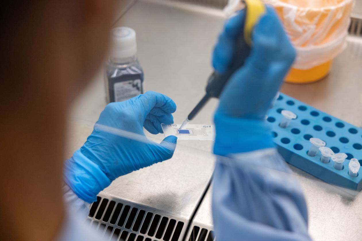 illustrasjonsbilde biomedisin