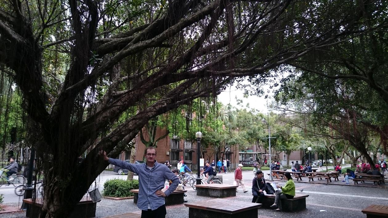 Man standing under a banyan tree