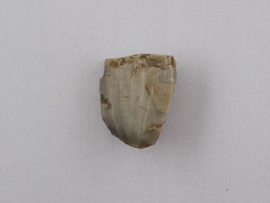 Mikroflekkekjerne Mikroflekkekjerne