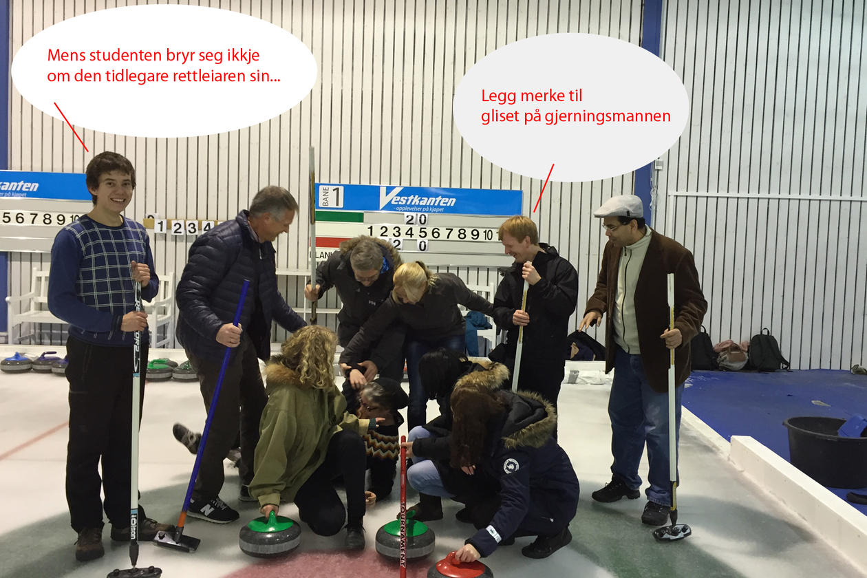 Miljøtoksgruppa på curling november 2014