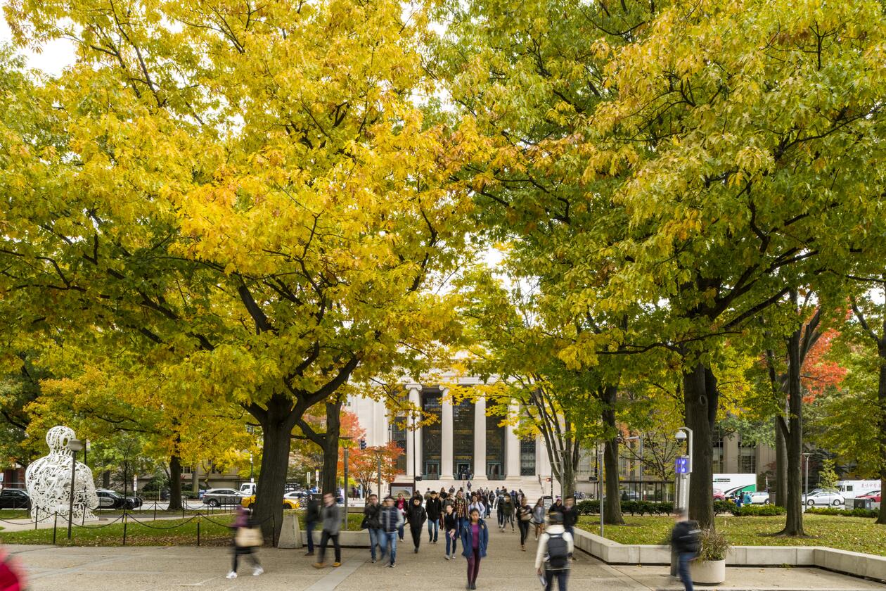 MIT Campus