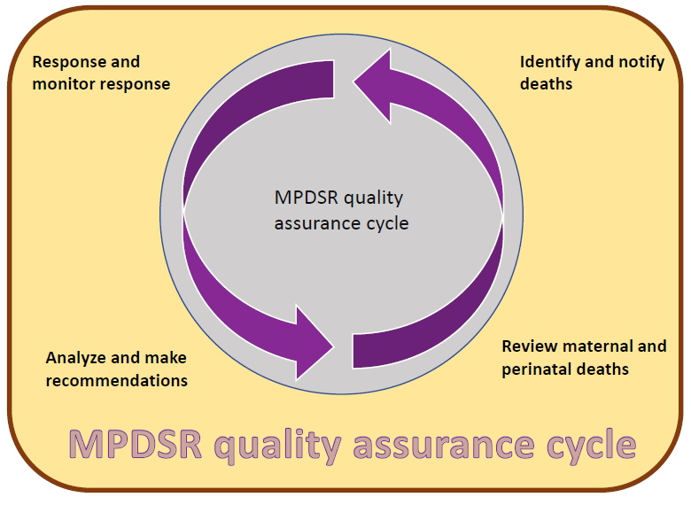 MPDSR quality assurance cycle