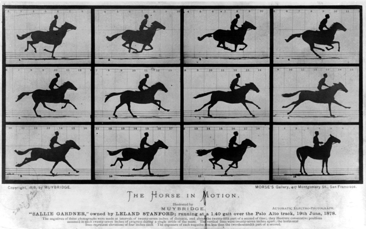 Grid of twelve black and white photos of a horse galloping.