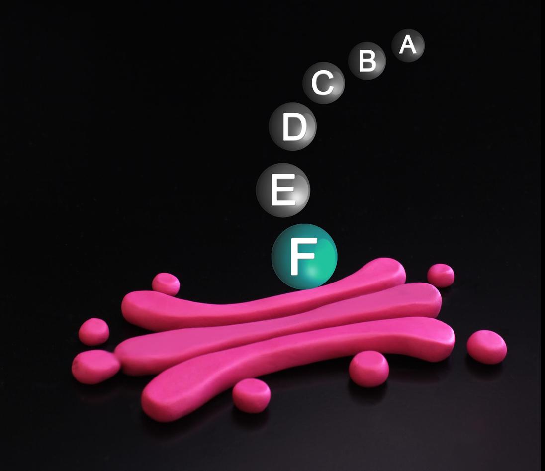 N-terminal acetylation meets the organelles (Aksnes et al., Cell Rep, 2015