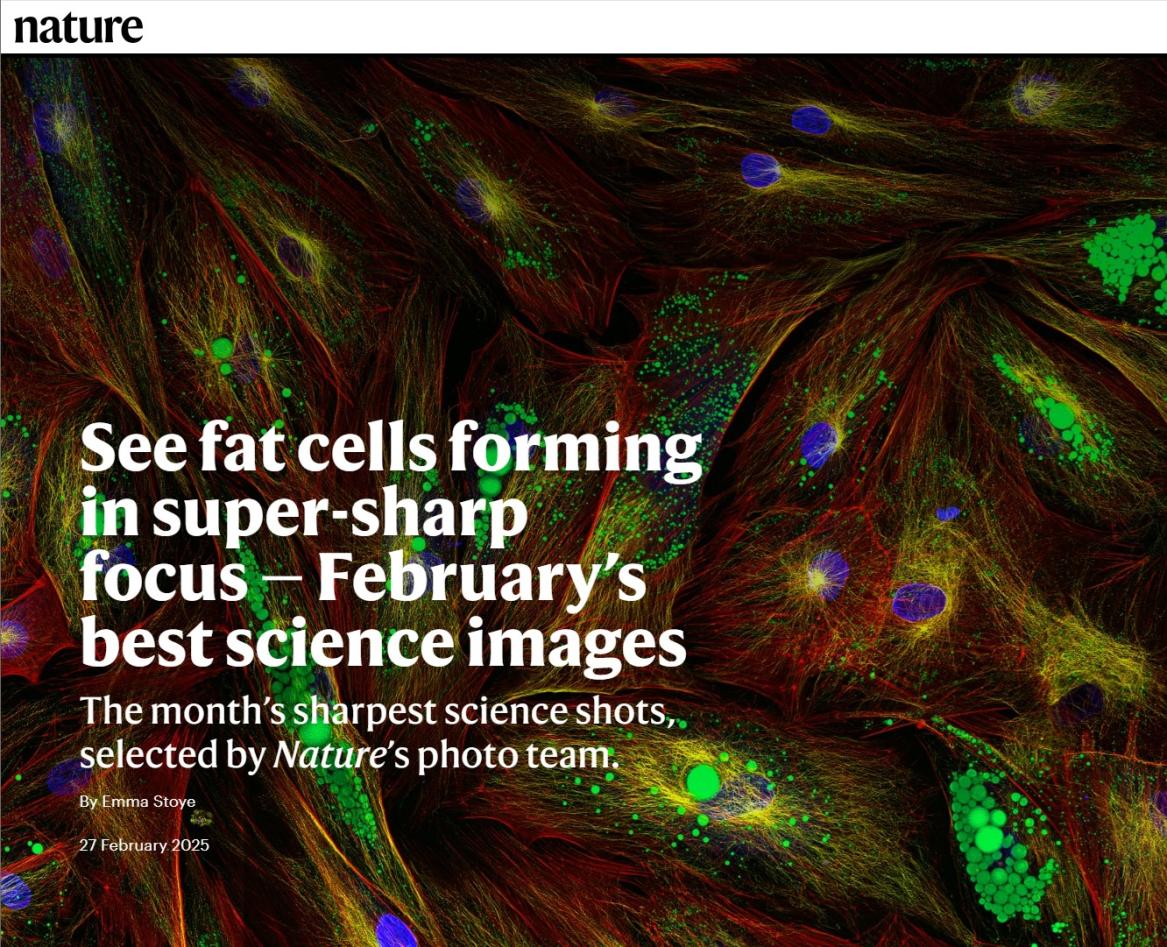 Faksimile av en nettside med fargerik bakgrunn i hovedsakelig grønt, gult og rødt med hvit tekst over