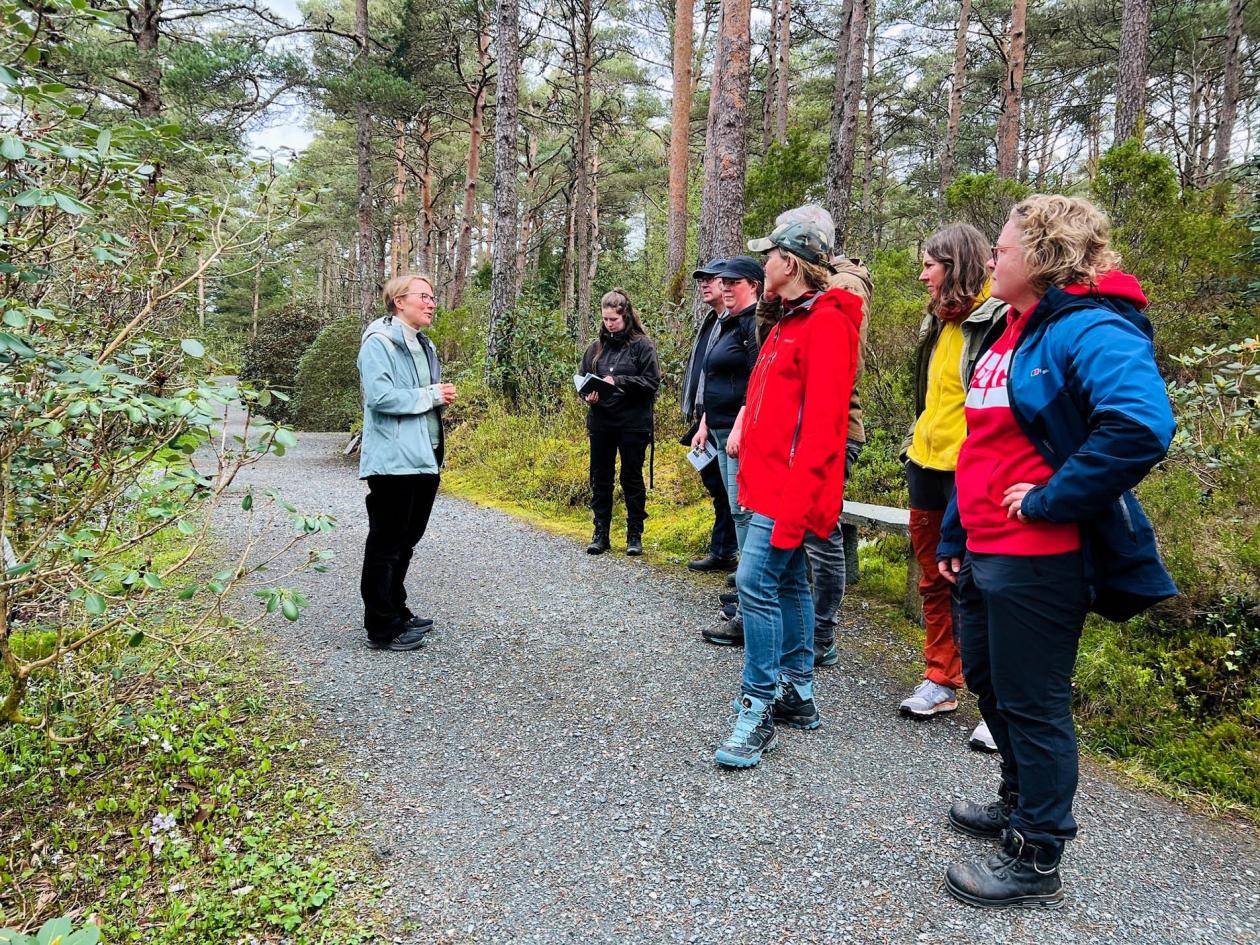Omvisning i rhododendronsamlingen
