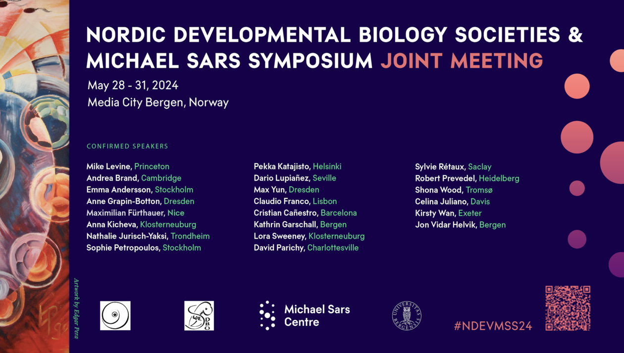 Conference poster QR code