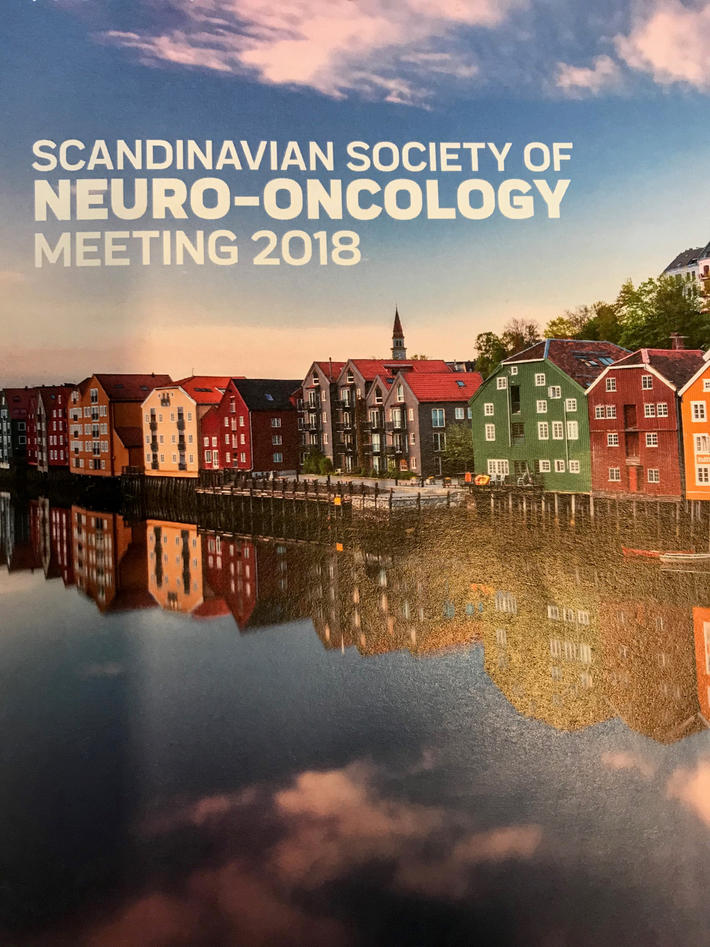 Scandinavian Society of Neuro-Oncology 2018