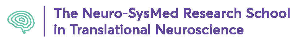 Logo of the NSM research school.